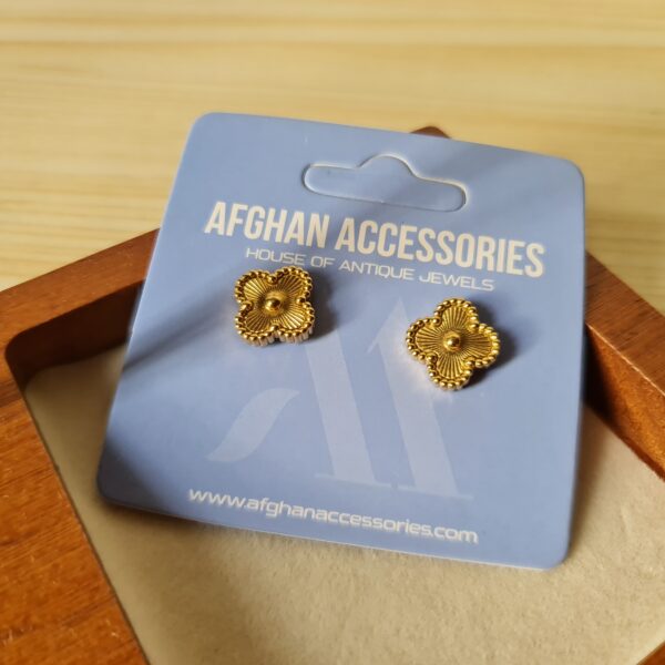 stainless  steel studs