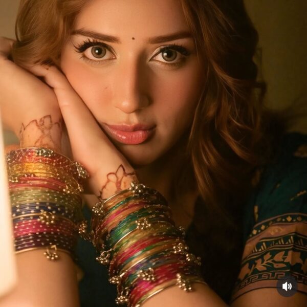Kashmiri bangles for 1 dozen